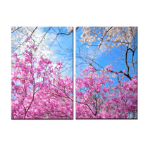 Happy Spring Canvas Canvas / Toile de fleur Peinture / Peinture Toile Imprimer
